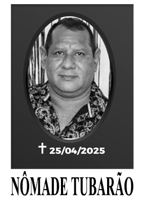 Nômade Tubarão